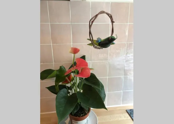 Appartement Ma Petite Versailles